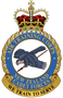 Logo for No 20 Squadron (City of Whangarei) Air Training Corps (NZCF)