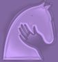 Logo for Horses R Us Nz & Charaitable Trust